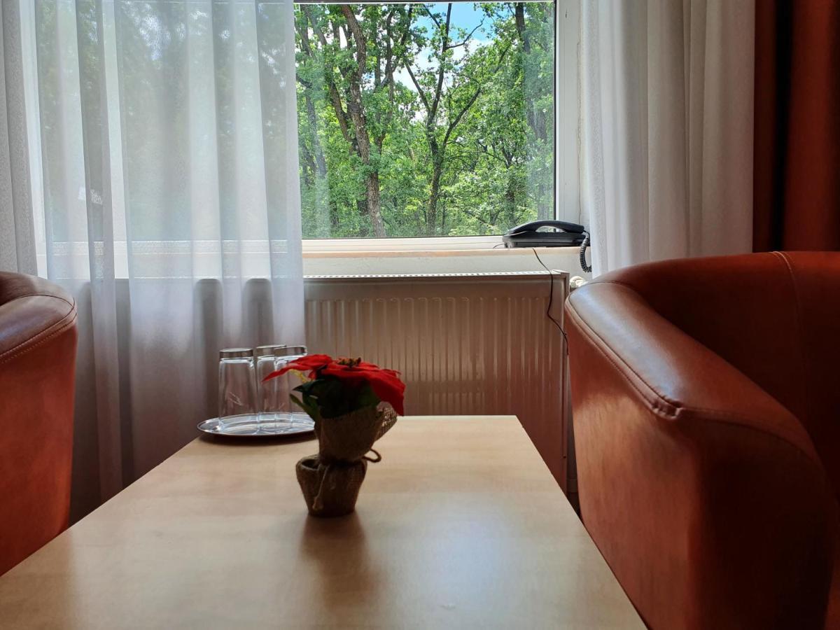 Hotel Cornul Vanatorului Пітешть Екстер'єр фото